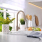 Lulani St. Lucia Brushed Nickel 1.8 GPM 360-Degree Swivel Spout Pull-Down Faucet