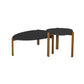 Manhattan Comfort Gales 2-Piece Black End Table & Coffee Table Set