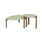 Manhattan Comfort Gales 2-Piece Pistachio Green End Table & Coffee Table Set