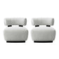 Manhattan Comfort Ivory & Black Modern Bartow Woven Fabric Accent Chair In A Set Of 2
