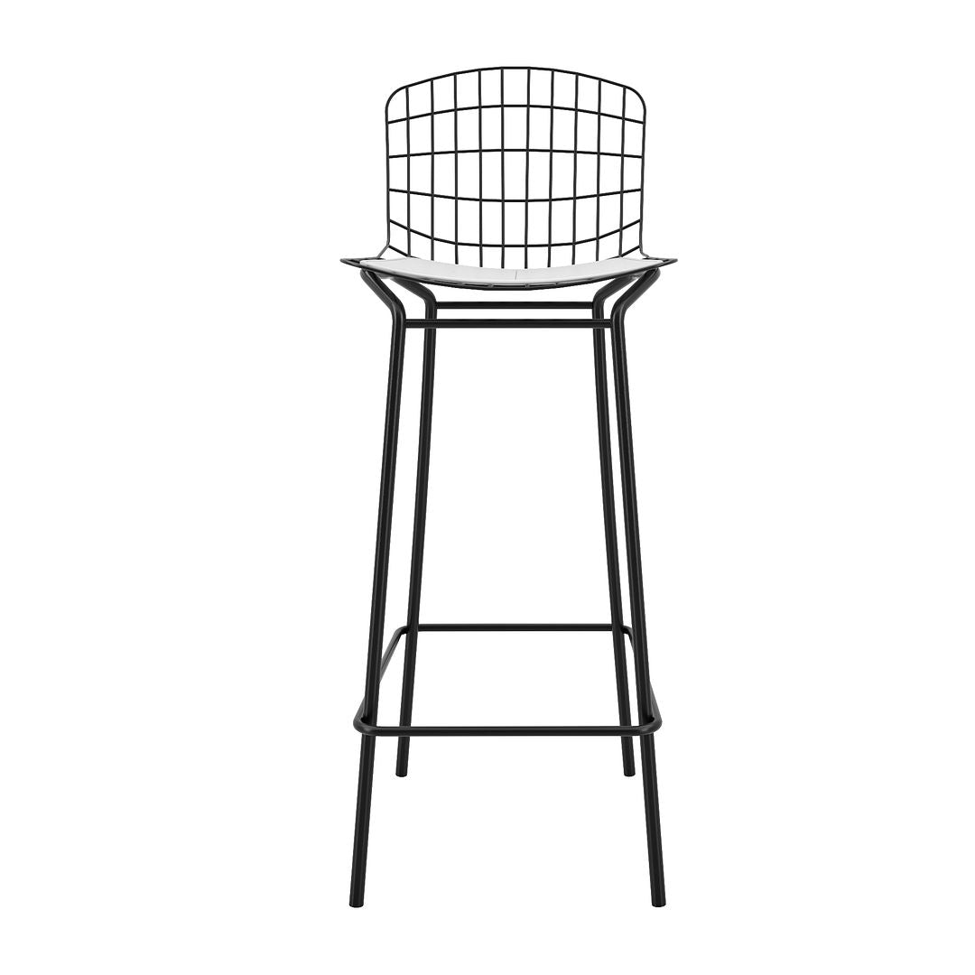 Manhattan Comfort Madeline 42" Barstool, Set Of 2 With Seat Cushion In Black & White