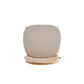 Manhattan Comfort Paragon Nature & Cane Dining Chairs With Cream Cushions In A Set Of 4