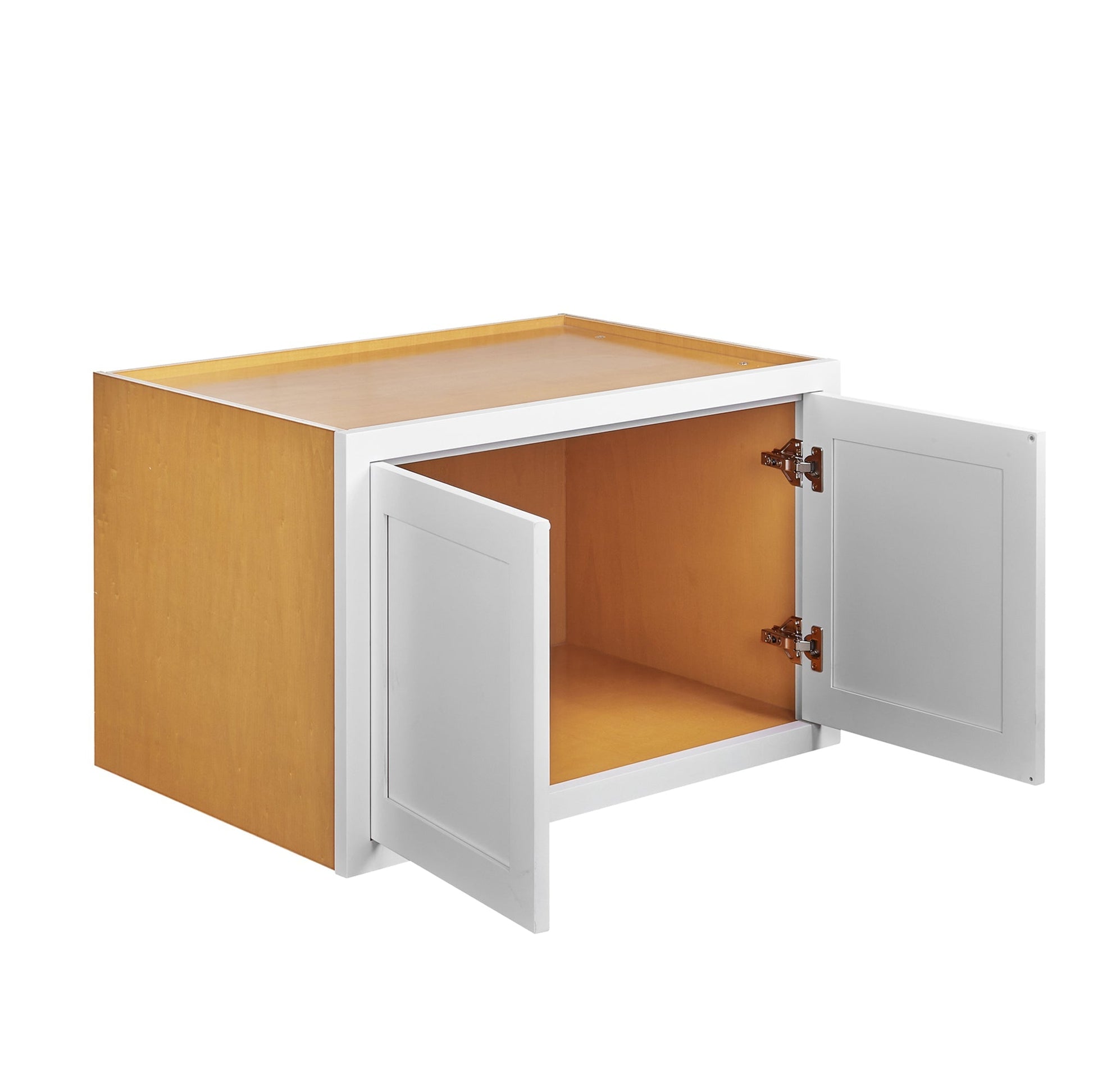 Modern Wood Storage Cabinet / 2-Door