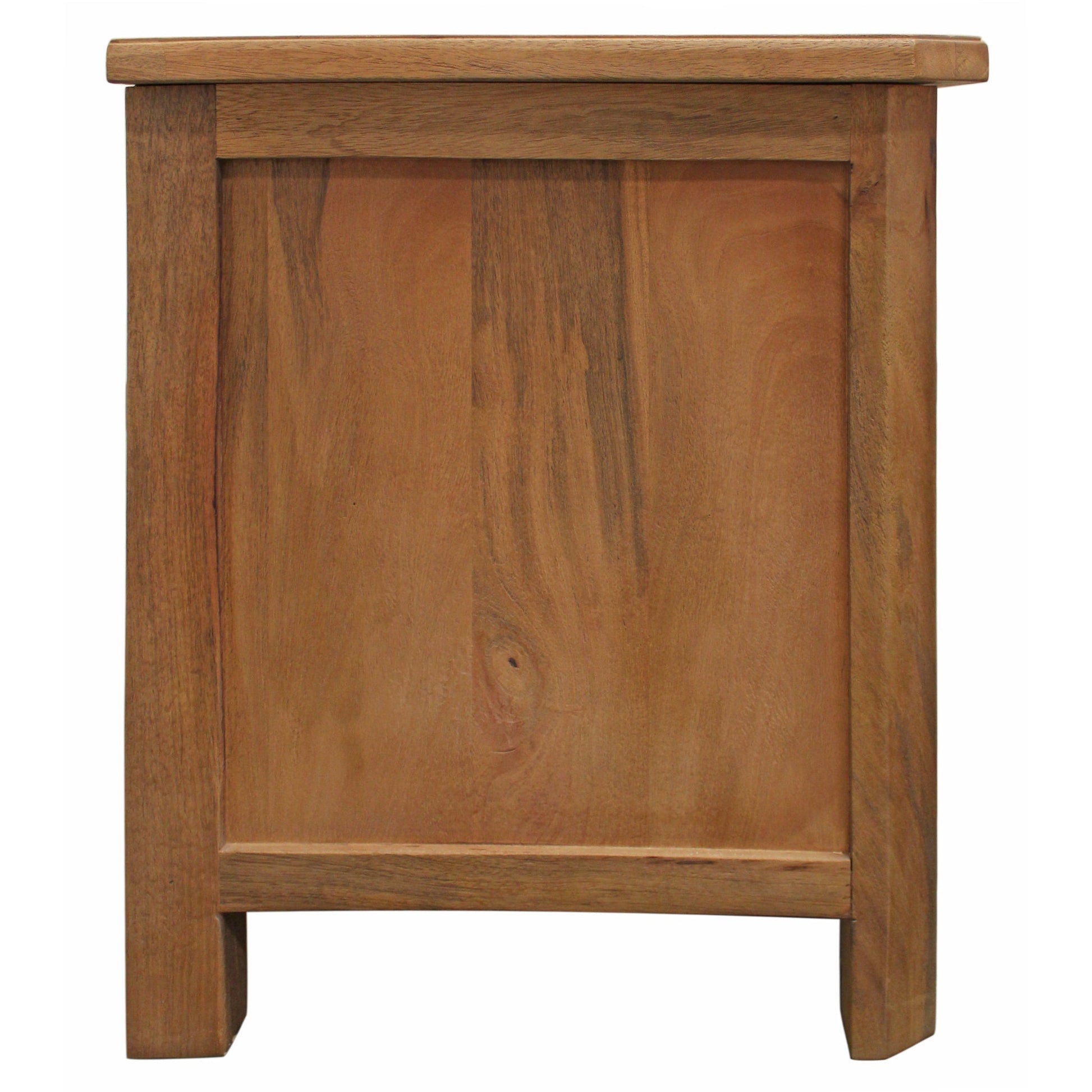 Meva Bliss 2-Door 1-Drawer Oak Media Cabinet