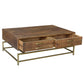 Meva Goldbust 49" 2-Drawer Brown Solid Mango Wood Cocktail Table