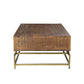 Meva Goldbust 49" 2-Drawer Brown Solid Mango Wood Cocktail Table