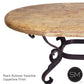 Mexports by Susana Molina 1239AAOT 60" Peach Travertine Bullnose Edge Oval Coffee Table
