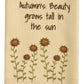 Park Designs Autumn's Beauty Grows Dishtowel - Set of 6