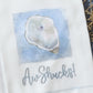 Park Designs Aw Shucks Decorative Dishtowel - Set of 6
