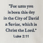 Park Designs Away In A Manger Decorative Dishtowel - Set of 6