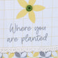 Park Designs Bloom Flour Sack Dishtowel - Set of 2