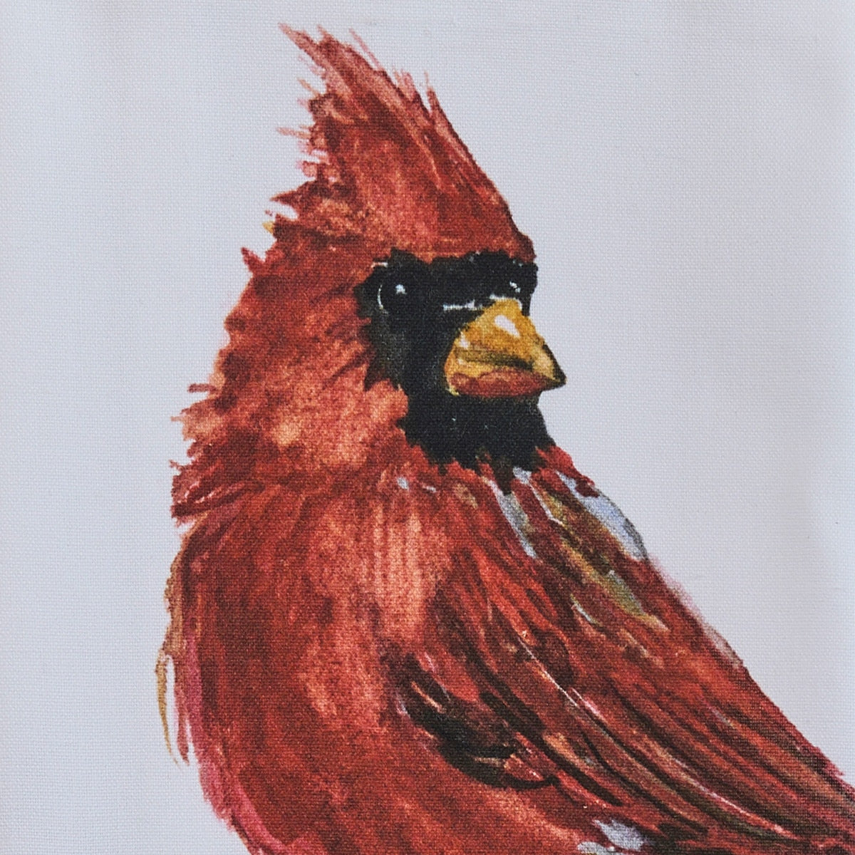 Park Designs Cardinal With Berries Dishtowel - Set of 6