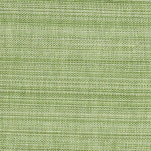 Park Designs Casual Classics Napkin - Celery - Set of 4