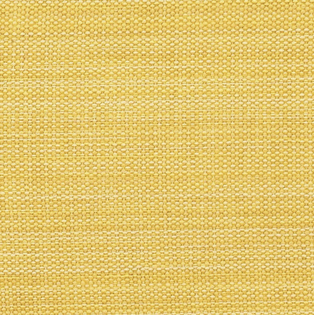 Park Designs Casual Classics Napkin - Dijon - Set of 4