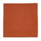 Park Designs Elements Napkin - Sienna - Set of 4