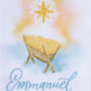 Park Designs Emmanuel Dishtowel - Set of 6