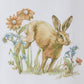 Park Designs Garden Glory Decorative Dishtowel - Set of 6
