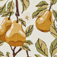 Park Designs Golden Pear Placemat - Set of 12