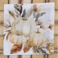 Park Designs Hadley Plaid Decorative Dishtowel - Set of 6
