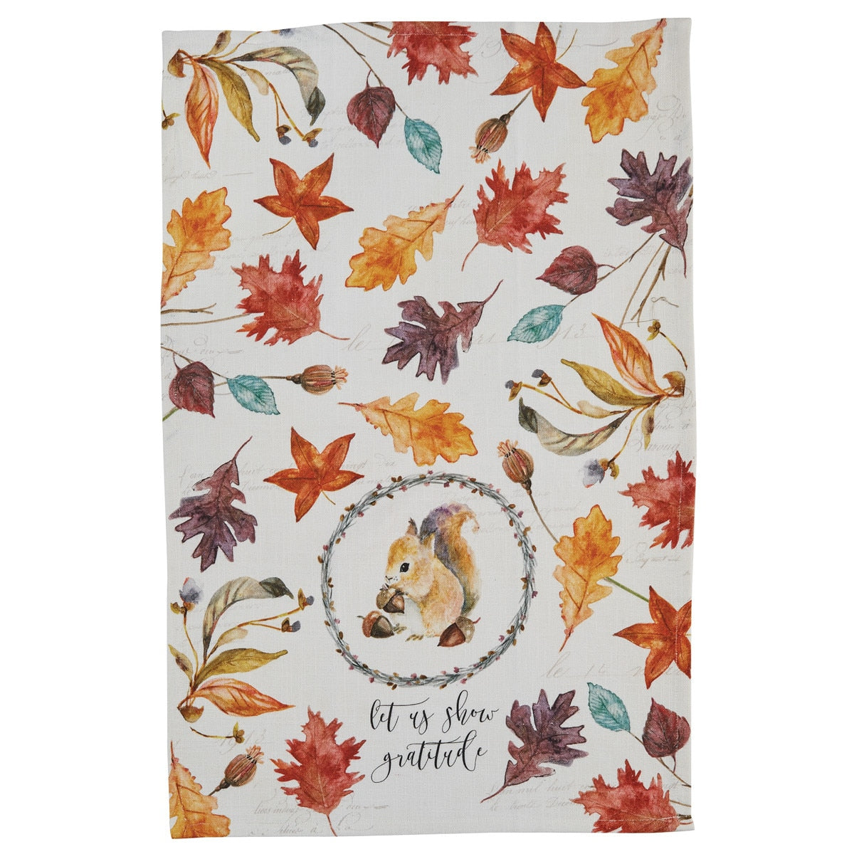 Park Designs Harvest Home Squirrel Dishtowel - Set of 6