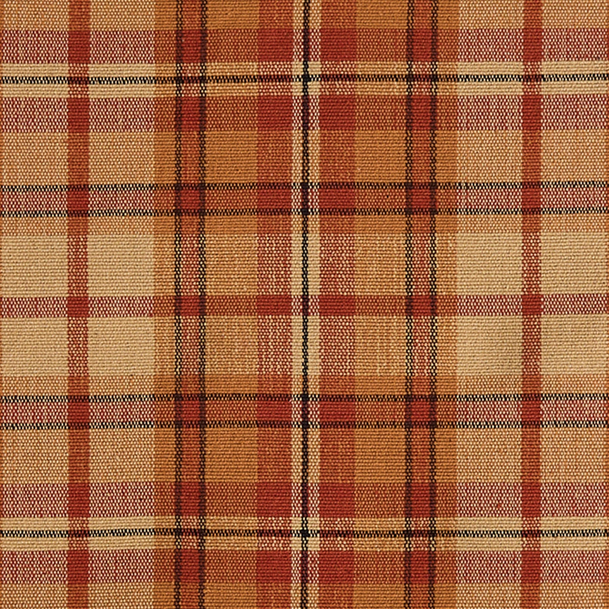 Park Designs Hayfield Placemat - Set of 12