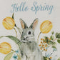 Park Designs Hello Spring Printed Dishtowel - Set of 2