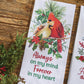 Park Designs Holiday Cardinal Love Decorative Dishtowel - Set of 6