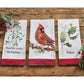 Park Designs Holly And Berries Believe Dishtowel - Set of 6