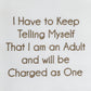 Park Designs I Am An Adult Dishtowel - Set of 6