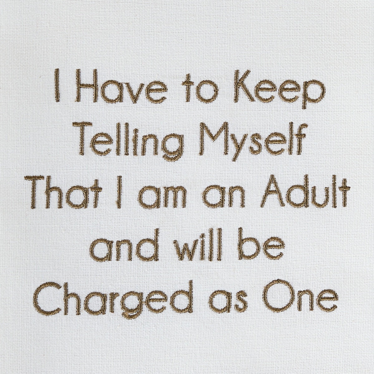 Park Designs I Am An Adult Dishtowel - Set of 6