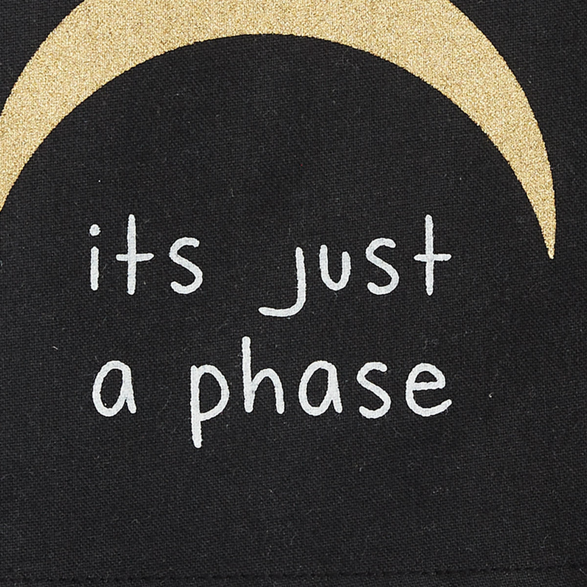 Park Designs It's Just A Phase Dishtowel - Set of 2