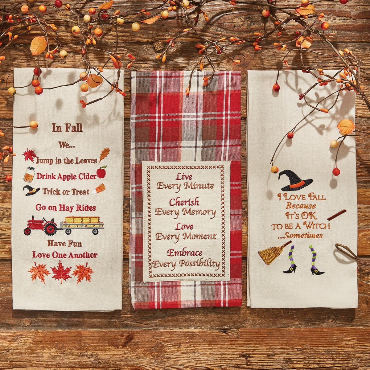 Park Designs Live Every Minute Dishtowel - Set of 2