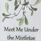 Park Designs Meet Me Under The Mistletoe Dishtowel - Set of 6