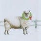 Park Designs Merry Christmas Ewe Dishtowel - Set of 6