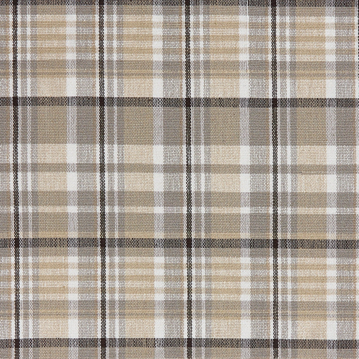 Park Designs Murray Placemat - Set of 12