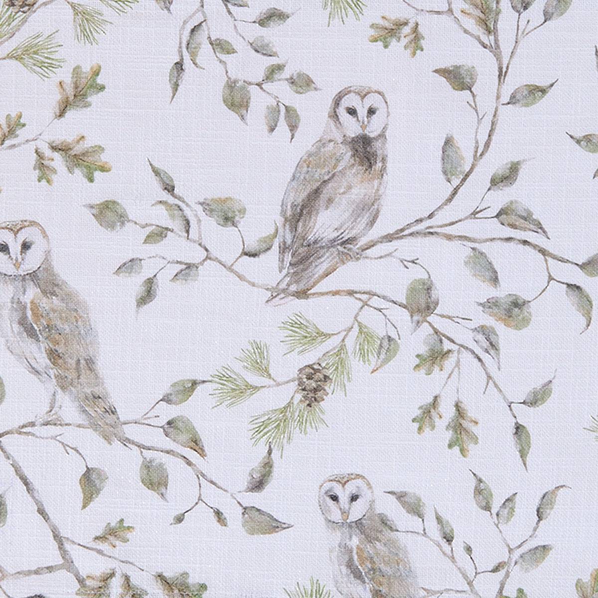 Park Designs Owls Placemat - Set of 12