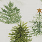 Park Designs Rustic Christmas Placemat- Trees - Set of 4