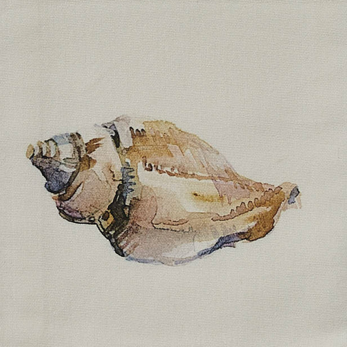 Park Designs Shore Conch Dishtowel - Set of 2