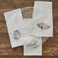 Park Designs Shore Conch Dishtowel - Set of 2