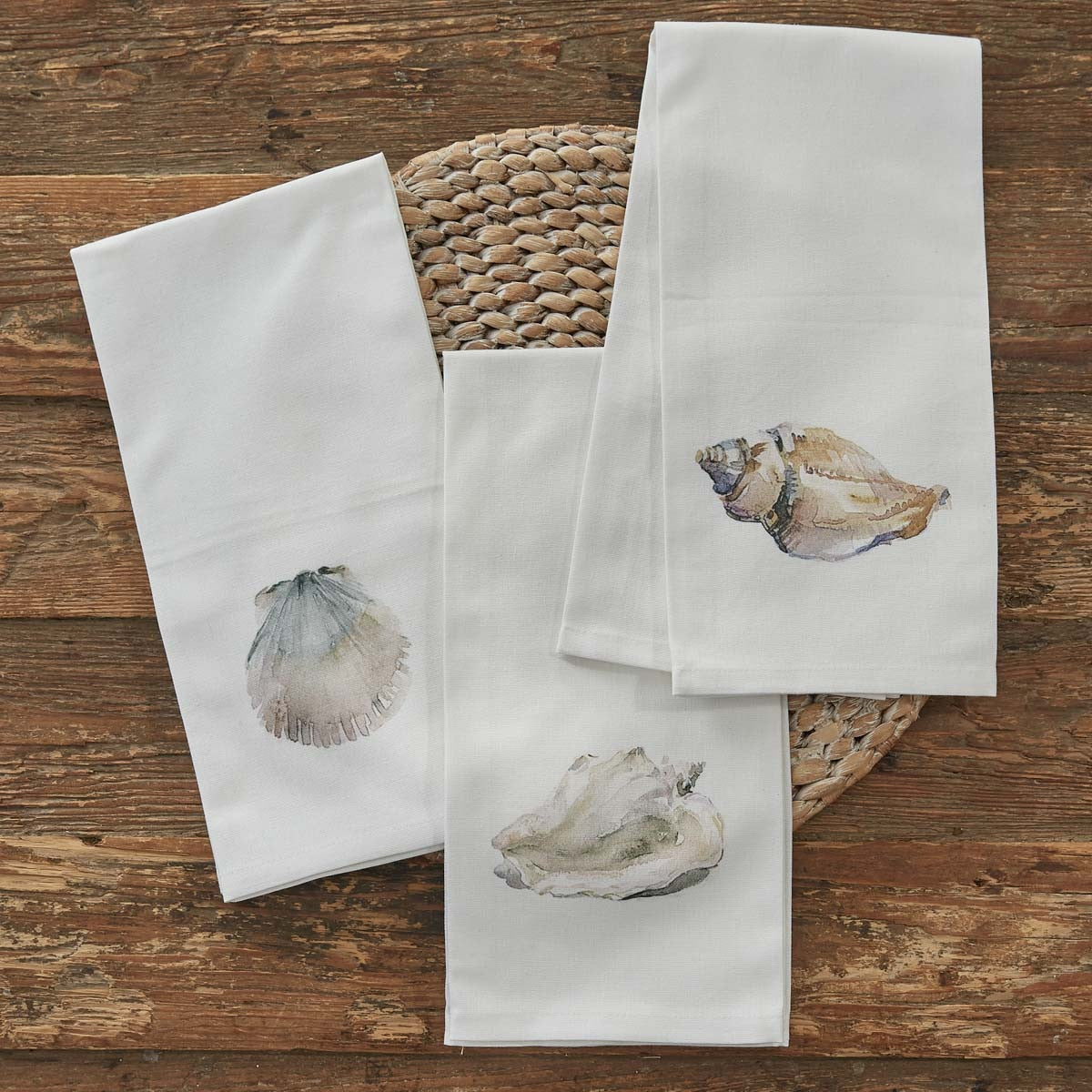Park Designs Shore Conch Dishtowel - Set of 2
