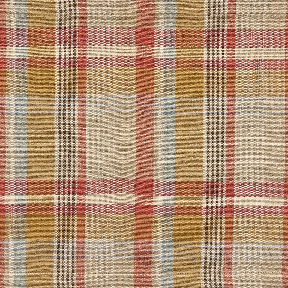 Park Designs Spice Route Placemat - Set of 12