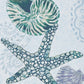 Park Designs Starfish Decorative Dishtowel - Set of 6