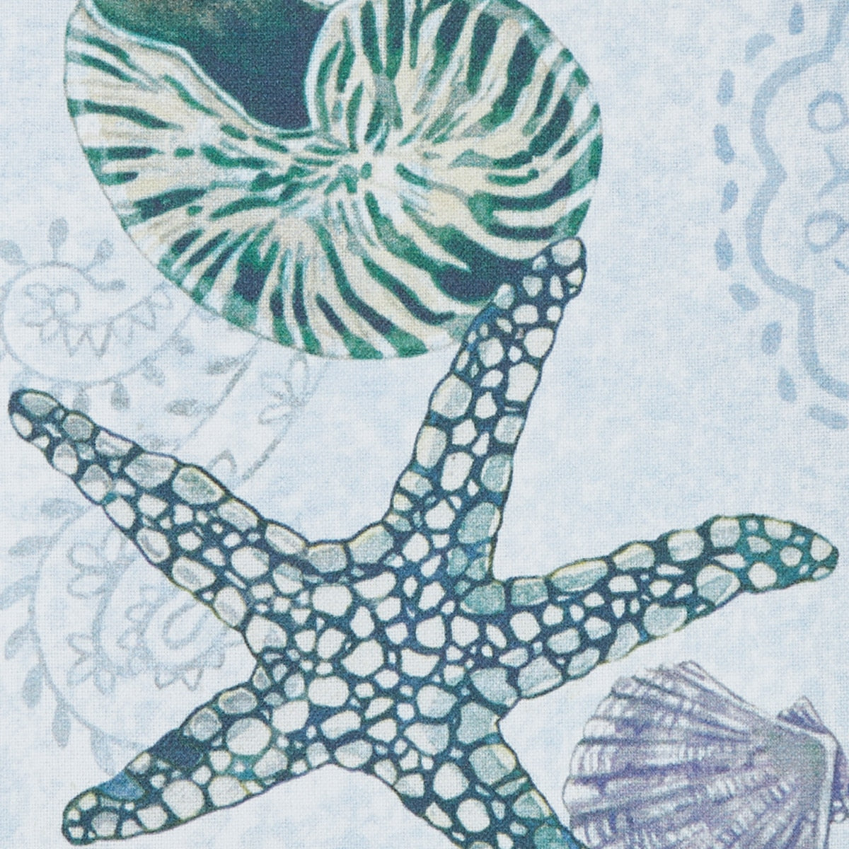 Park Designs Starfish Decorative Dishtowel - Set of 6