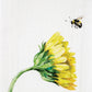 Park Designs Sunflower With Bee Dishtowel - Set of 6