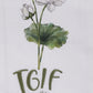 Park Designs Tgif Decorative Dishtowel - Set of 6