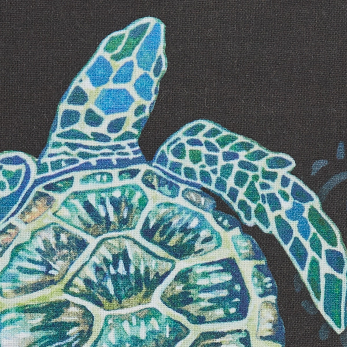 Park Designs Turtle Decorative Dishtowel - Set of 6