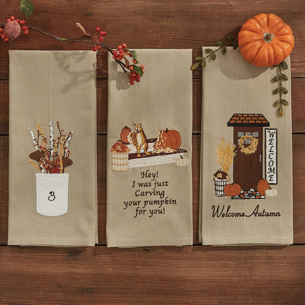 Park Designs Welcome Autumn Appliqued Emb Dishtowel - Set of 2
