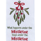 Park Designs What Happens Under The Mistletoe Dishtowel - Set of 6