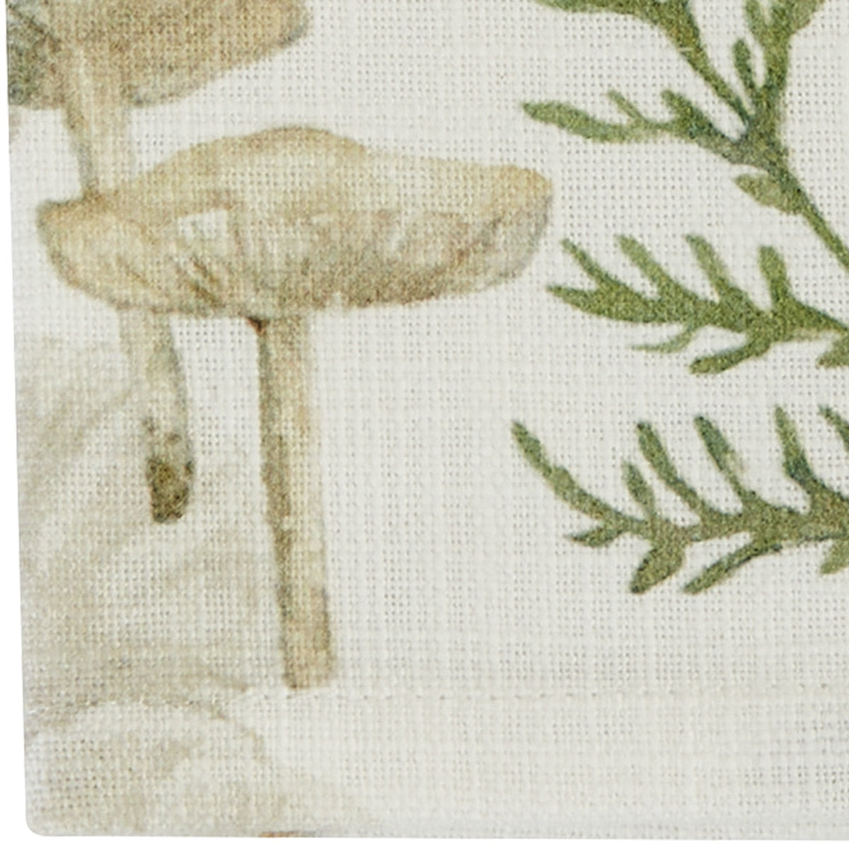 Park Designs Wild Mushrooms Dishtowel - Set of 6