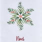 Park Designs Williamsburg Noel Dishtowel - Set of 6